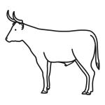 Arasaac 150-5e495d12b5a24df4e2e1c052a22b376a