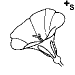 Arasaac 150-76ea9b3d8f65cfd96dc29d8a57dbe9ee