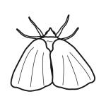 Arasaac 150-a0068bd7f95fd8741139dd4614f2e5d