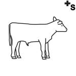 Arasaac 150-1b5a9ecd5320674a6ab53ce8bd3c1f2f