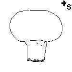 Arasaac 150-92d2c6f975333874429435eced77da39
