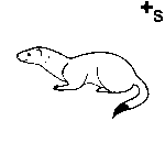 Arasaac 150-b382b5a19c8c6ed041c3fc219fdb0598