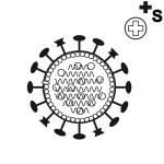 Arasaac 150-34fde123d41455f2d27f02fa9d6a1229