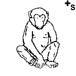 Arasaac 150-35c29c30554f2274163c4d57fb601990