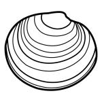 Arasaac 150-611dcac4dd994f267326d2d0048b6cf6