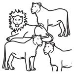 Arasaac 150-90986c747d694ca9677ca2fdb2565b79