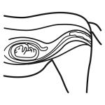 Arasaac 150-8e007faf0d1b810a75de2332956201d4