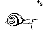 Arasaac 150-8fdbaee179edcd3ccabdbf2e9c8f1af0