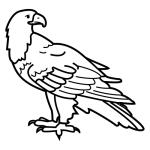 Arasaac 150-486ace13d80aa69c0eba6d1f5bc25c6c