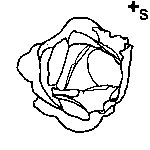 Arasaac 150-bc89f093beaa0a4c47282549671ec46b