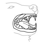 Arasaac 150-2c32385f35612f2c5e702482a8fa6ed4