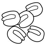 Arasaac 150-44c01ba6bae8559fdfda16b72cbf04e8