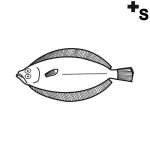Arasaac 150-8a479c1cc64e1ba84b5d5357791d080c