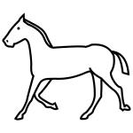 Arasaac 150-54790c4b3886f0a6daedc7d2505888d1