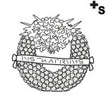 Arasaac 150-a1c95613d3b0555af623d880b4c65bc1
