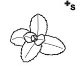 Arasaac 150-f8a52d34dc053de5859ef98865c35dab