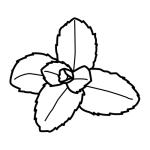 Arasaac 150-df51f8155caa6c0fe38b09c81cb176f8