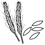 Arasaac 150-9cce47748f78cd90f87c2bdb86b6faf7