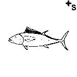 Arasaac 150-39ee97b083cdb122e74f4987e8eb41a