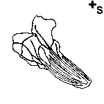 Arasaac 150-f172782c3f4460bb6189d90789f6ff