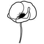 Arasaac 150-fe9744c21c21d2f87467dab94310a29e