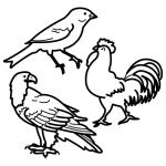 Arasaac 150-aa0515d4babf6d3ecd0788381a3c1ff0