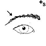 Arasaac 150-4bf5b043f207040dbc76d45f505dafb1