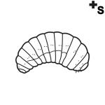Arasaac 150-92d74538d28b31dfe7b915cf1598b87d