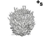 Arasaac 150-b3c5fa78e692e7197b3ee4da83a9714e