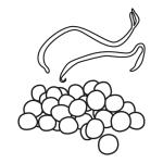 Arasaac 150-c0a198bdd45ab8781db48427508d2660