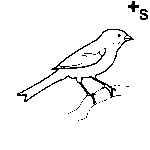 Arasaac 150-f74ee94c41498f239f3225932b756c15