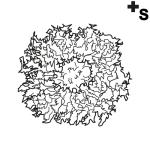 Arasaac 150-241e343d6dc728336dc3b2190971d4f3