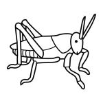 Arasaac 150-5ed09f099beec74b1dea1273eedbfda8