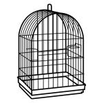 Arasaac 150-b32f5feb9500f20a3b0dbad0e9538cc6