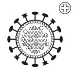 Arasaac 150-b1be3c519c2ad1e4c36e126744efe428