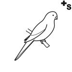 Arasaac 150-16f8786dbdc3b9138a941150d77bab0b