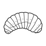 Arasaac 150-1ea8f9551122558ecb2da2ef4ca1cfb7