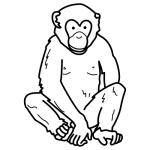 Arasaac 150-c3c67e1cd264f68871ee630f3ff04dfa