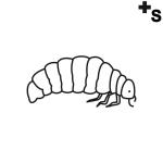 Arasaac 150-25e59bfa642a0f5350ba46a1af3855f8