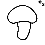 Arasaac 150-ff22d98f450542e6c0bc76726701beff