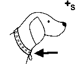 Arasaac 150-562af55a79ce1ffb629aa620ed24823a