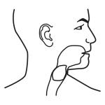 Arasaac 150-b594091022b31d7fa3a36a913337e76a