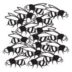 Arasaac 150-b4106870e44bbe8226982b605cbe0fee