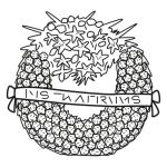 Arasaac 150-ee77f4ebe841509ea09bb813cf4038f6