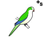 Arasaac 150-16f8786dbdc3b9138a941150d77bab0b