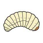 Arasaac 150-1ea8f9551122558ecb2da2ef4ca1cfb7