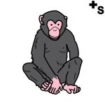 Arasaac 150-35c29c30554f2274163c4d57fb601990