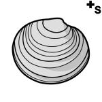 Arasaac 150-55b94e3e6d537f18104948e8fc44b460