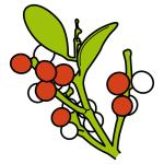 Arasaac 150-6e27d0bc1f98d4e6faad0ca452e38555