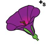 Arasaac 150-76ea9b3d8f65cfd96dc29d8a57dbe9ee